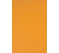 Netuno 500 Sheets Light Orange Colored Paper A4 210 x 297 mm 8.27 x 11.69 in 80 GSM Rainbow for Printing Crafts Office Presentations Photocopies