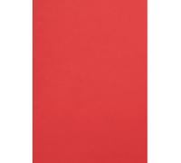 Netuno 500 Sheets Red A4 Cardstock 210x297 mm 300gsm Malmero Vermillon Thick Paper for Crafts School Projects Decorations
