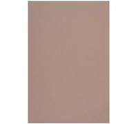 Netuno 50x Light Brown Cardboard A4 210x297mm 8.3x11.7in 250gsm Crush Almond Natural Paper Elegant Printable Cardboard Coloured Recycled Paper for Invitations Business Cards brochures Book Covers