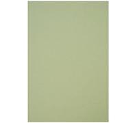 Netuno 50x Light Green Cardboard A4 210x297mm 8.3x11.7in 250gsm Crush Kiwi Natural Paper Elegant Printable Cardboard Coloured Recycled Paper for Invitations Business Cards brochures Book Covers menus