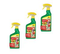 Neudorff Bugfree Bug & Larvae Killer Spray 750Ml X 3 Pack Fast-Acting Insect Control