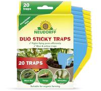 Neudorff Duo Sticky Traps - Blue stickers against thrips and yellow stickers against small flying pests such as fungus gnats. Odourless, insecticide-free, 20 traps