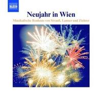 Neujahr in Wien
