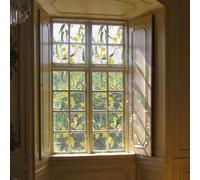 Neukids 43×300cm Rainbow Plants Window Film,Static Clings Glass Film,Stained Glass Window Film Yellow Daisy,Decorative Privacy film for Bedroom Living Room Kitchen Bathroom Offices