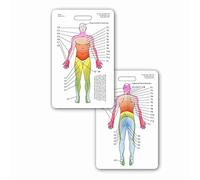 Neuro Dermatome Diagram Vertical Badge ID Card Pocket Reference Guide Neurology (1 Card)
