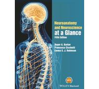 Neuroanatomy and Neuroscience at a Glance: (At a Glance 5th edition)