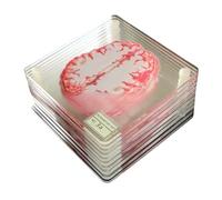 Neuroanatomy Department Brain Cross Section Model, Pink and White, Acrylic Coaster, 10 Piece Collection