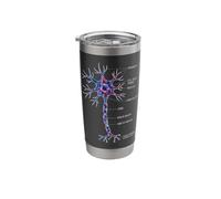 Neurobiology Neuron Anatomy Labeled Brain Cell Diagram Stainless Steel Insulated Tumbler