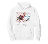 Neuron Diagram Labeled Nerve Cell Pullover Hoodie