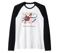 Neuron Diagram Labeled Nerve Cell Raglan Baseball Tee