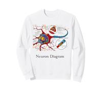 Neuron Diagram Labeled Nerve Cell Sweatshirt