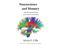 Neuroscience and Memory: How the brain stores pain and is capable of transforming it