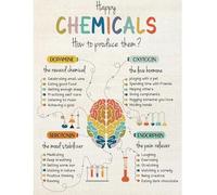 Neuroscience Educational Poster Happy Chemicals and How They Work Colorful Brain Diagram for Office Wall Decor and Student Gift Idea(Framed,16x24inch(40x60cm))