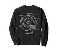 Neuroscience Human Brain Anatomy Labeled Diagram Sweatshirt