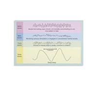 Neuroscience Wall Art Sleep Cycle EEG Poster Visualization of Brain Waves Modern Graph Chart for Home Office Study or Counseling Room Decor(Unframed,16x24inch(40x60cm))