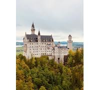 Neuschwanstein Castle-1000-Piece Puzzle Toy for Adults (14 years+)