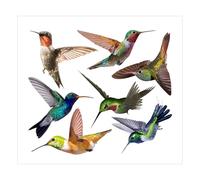 NeutypeChic Bird Stickers for Window Panes, Pack of 7 Window Stickers to Protect Against Bird Strike, Birds Window Stickers for Bird Impact Protection