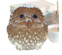 Nevalerra Owl Decoration | Brilliant White Statues | Decorative Owl Sculpture, for Christmas, Birthdays, Family, Friends Living Room Bedroom Shelf Sill