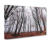 Never Ending Forest in Italy Canvas Print | Gallery Wrapped 30mm Frame Wall Art | 30x20 inches | Ready to Hang | Modern Landscape Picture | Living Room Bedroom Lounge Office