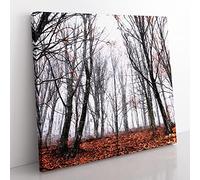 Never Ending Forest in Italy Modern Canvas Wall Art Print Ready to Hang, Framed Picture for Living Room Bedroom Home Office Décor, 35x35 cm (14x14 Inch)