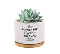 Never Forget The Difference That You Make Inspirational Gifts Ceramic Succulent Plant Pot with Bamboo Tray Round Motivational Gifts For Plant Lover Home Office Decor 3.5 Inch White (No Plants)