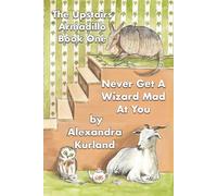 Never Get A Wizard Mad At You