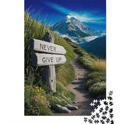 Never Give Up 1000-Piece Puzzle for Adults, 52x38cm/1000pcs; A Weekend Activity at Your Own Pace; Clean White Card Pieces for Sorting