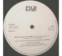 Never Leave You Lonely - Diva Convention Feat. Michelle Weeks 12"
