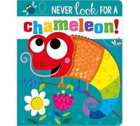 Never Look for a Chameleon (Never Touch) (Touch and Feel Board Book)