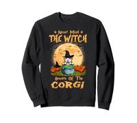 Never Mind The Witch Beware Of Corgi Dog Halloween Sweatshirt