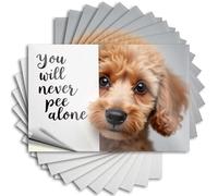 Never Pee Alone: A Cute Reminder Unique Door Decor - Saying Case Removable Vinyl Decal(6X9CM)