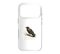 Nevermore Raven Edgar Allan Poe Gothic Dark Academia Case for iPhone 17 Pro