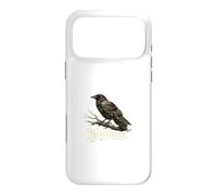 Nevermore Raven Edgar Allan Poe Gothic Dark Academia Case for iPhone 17 Pro Max