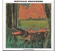 Neville Brothers - Fiyo On The Bayou