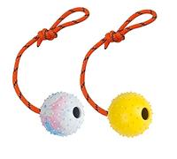 Nevperish 2 Pack Dog Ball, K9 Ball, Solid Rubber Ball on Rope for Reward, Fetch, Play (7cm)