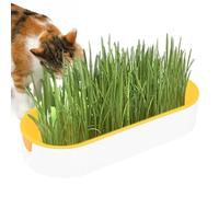 NevPuose Cat Grass Planting Box Set - Chewing Plant Growing Set Cat Grass Kitten Grass, Kitten Chewing Grass Growing Set, Soil- Digestion Helping Cat Grass Kit for Balcony, Patio, Nursery or Garden