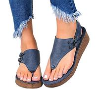 New 2026 Women's Platform Sandals T-Strap Block Heel Sandals Heeled Ankle Wedge Ankle Strap Open Toe Sandals with Zipper Vintage Beach Sandals Ladies Walking Shoes,Blue,US11/EU43