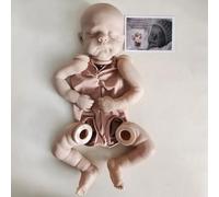 New 21inch Reborn Doll Kit Eric/Erica with COA Limited Edition Fresh color Unfinished Unpainted Doll Parts with cloth body