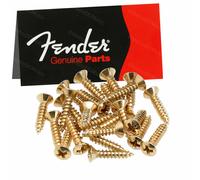 New 24 Fender Vis Pickguard / Control Plate 0994924000 for all Guitar and Bass