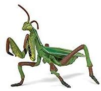 NEW 50244 Praying Mantis WILD ANIMAL KINGDOM Figurine Multicolour UK Seller