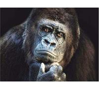 New 5D Diamond Painting Kits for Adults Kids, Awesocrafts Black Gorilla are Thinking Full Drill DIY Diamond Art Crystal Rhinestone Paint by Diamonds Cross Stitch (Gorilla)