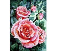 New 5D Diamond Painting Kits for Adults Kids, Awesocrafts Pink Rose Green Plant Full Drill DIY Diamond Art Crystal Rhinestone Paint by Diamonds Cross Stitch (Pink Rose)