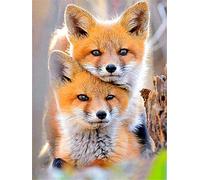 New 5D Diamond Painting Kits for Adults Kids, Awesocrafts Sunny Two Foxes Full Drill DIY Diamond Art Crystal Rhinestone Paint by Diamonds Cross Stitch (Two Foxes)