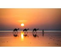 New 5D Diamond Painting Kits for Adults Kids, Awesocrafts Sunset Desert Camel Full Drill DIY Diamond Art Crystal Rhinestone Paint by Diamonds Cross Stitch (Camel)