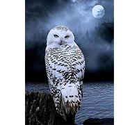 New 5D Diamond Painting Kits for Adults Kids, Awesocrafts White Owl on Rock Full Drill DIY Diamond Art Crystal Rhinestone Paint by Diamonds Cross Stitch (Owl)