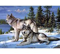 New 5D Diamond Painting Kits for Adults Kids, Awesocrafts Wolves On Snow Full Drill DIY Diamond Art Crystal Rhinestone Paint by Diamonds Cross Stitch (Wolves)
