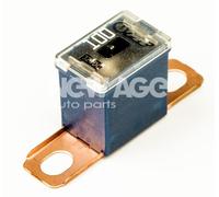 NEW AGE 252/7/100A Fuse
