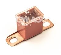 NEW AGE 252/7/30A Fuse