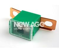 NEW AGE 252/7/40A Fuse