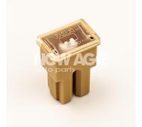 NEW AGE 252/8/60A Fuse
